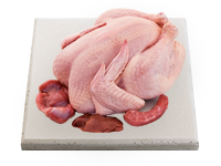 Whole Chicken Broiler